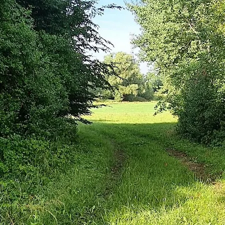 Bei Luebeck * Ludersdorf (Nordwestmecklenburg)